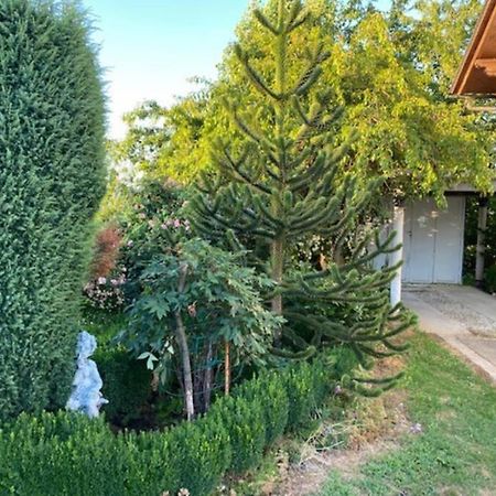 Apartma Jozica In Toncek Sveti Jurij ob Scavnici Exterior foto